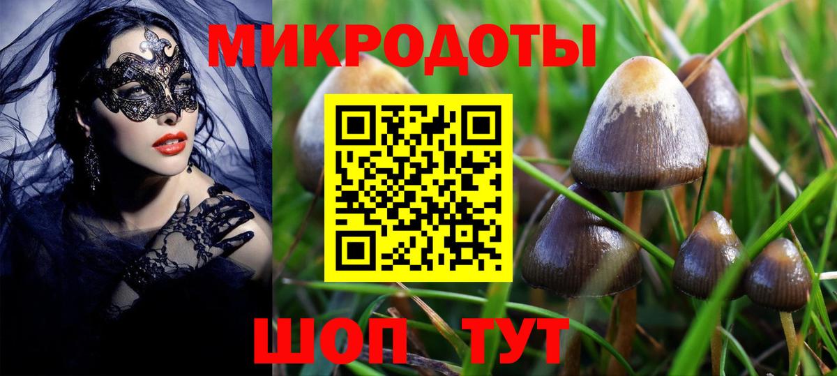 Бошки Шишки Мичуринск