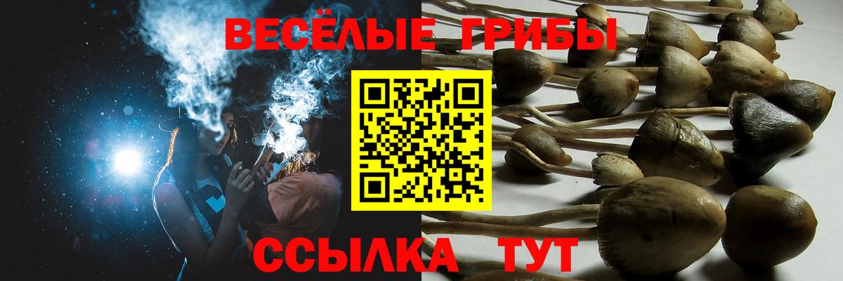 Псилоцибиновые грибы MAGIC MUSHROOMS Мичуринск